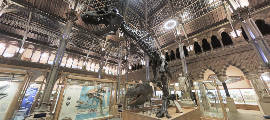 Oxford University Museum of Natural History